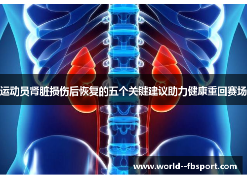 运动员肾脏损伤后恢复的五个关键建议助力健康重回赛场